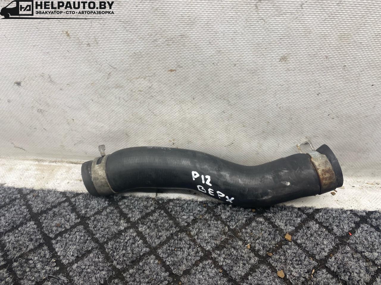 патрубок радиатора Nissan Primera P12 2002, 2.2 л., дизель, передний привод - фото №1