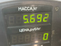 стойка передняя левая Ford Escort 4 поколение 1989, 1.6 л., дизель, МКПП, хетчбэк 3 дв., передний привод, LTC - фото №4