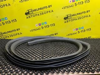 уплотнитель двери Dodge Neon 2 поколение 2000, 2.0 л., ECH, бензин, АКПП, белый