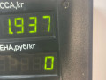 пружина задняя Volkswagen Golf 5 поколение 2008, 1.4 л., BUD, бензин, 5МКПП, синий, хетчбэк 5 дв., передний привод - фото №3