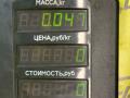 сетка на динамик Citroen Berlingo 1 поколение (M59) [рестайлинг] 2005, 1.6 л., NFU (TU5JP4), бензин, 5МКПП, серебро, фургон, передний привод - фото №3