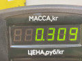 козырек солнцезащитный Suzuki Baleno 1 поколение 1998, 1.3 л., i, G13BB, бензин, МКПП, серебристый, седан, передний привод - фото №3