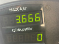 стойка задняя SEAT Ibiza 2 поколение 1998, 1.6 л., ALM, бензин, 5МКПП, синий, хетчбэк 5 дв., передний привод - фото №3