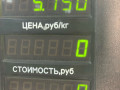 амортизатор передний левый Opel Vectra B 1997, 1.6 л., X 16 XEL, бензин, МКПП, красный, седан, передний привод - фото №5