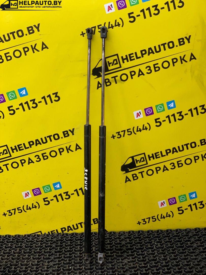 амортизатор крышки багажника (3-5 двери) Renault Scenic 1 поколение 1998, 1.9 л., F9Q 716, дизель, МКПП, синий, минивэн, передний привод - фото №1