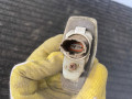 повторитель поворота на крыле Kia Sorento 1 поколение 2005, 2.5 л., CRDi, D4CB, дизель, МКПП, черный, внедорожник 5 дв., полный подключаемый привод, 92304-3V1 - фото №4