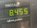 стойка передняя левая Nissan Primera P11 (1996 - 2000) - фото №3
