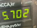 амортизатор передний левый Opel Astra G 1998, 1.6 л., X 16 XEL, бензин, МКПП, зеленый, универсал - фото №4
