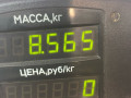 стойка передняя левая Alfa Romeo 146 1 поколение (1995 - 2001), 1.4 л., бензин, МКПП, хетчбэк 5 дв., передний привод - фото №4