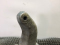 кронштейн двигателя Mercedes-Benz W123 W123 1983, 2.0 л., дизель, МКПП, седан, 6152231304 - фото №2