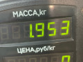 катализатор Volkswagen Golf 5 поколение 2008, 1.4 л., BUD, бензин, 5МКПП, синий, хетчбэк 5 дв., передний привод, IK0131701 - фото №3