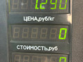 стойка передняя правая Opel Astra H 2005, 1.7 л., дизель, МКПП, синий, хетчбэк 5 дв., передний привод - фото №4