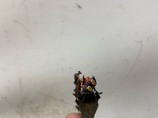 моторчик печки Opel Sintra 1 поколение 1999, 2.2 л., X 22 XE, бензин, МКПП, серебристый, минивэн, передний привод