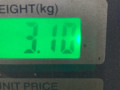 обшивка двери передняя правая Volkswagen Golf 5 поколение 2008, 1.4 л., BUD, бензин, 5МКПП, синий, хетчбэк 5 дв., передний привод - фото №3