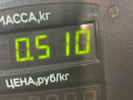 защита (кожух) ремня ГРМ Volkswagen Passat B3 1992, 1.6 л., TDi, SB, дизель, МКПП, универсал, передний привод, SB, TDI - фото №3