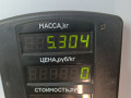 пружина задняя Opel Astra F (1991 - 1994), 1.6 л., бензин, МКПП, универсал, передний привод - фото №3