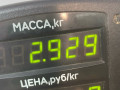 пружина задняя Daewoo Matiz M100 2000, 0.8 л., F8CV, бензин, красный, хетчбэк 5 дв. - фото №3