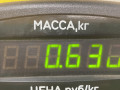 ручка наружная задняя правая Opel Omega B 1999, 3.0 л., бензин, АКПП, чернозеленый, седан, задний привод - фото №3