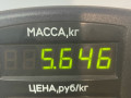 стойка передняя левая Opel Astra G 2002, 1.6 л., X 16 XEL, бензин, 5МКПП, синий, универсал, передний привод - фото №3