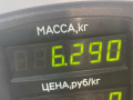 диск тормозной передний Nissan Maxima A32 1997, 2.0 л., бензин, МКПП, серый, седан - фото №5