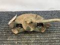 суппорт передний правый Toyota Carina T170 1992, 1.6 л., 4A-FE, бензин, МКПП, красный, седан, передний привод - фото №5