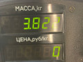 суппорт передний правый Nissan Primera P10 1994, 1.6 л., бензин, МКПП, синий, седан - фото №5