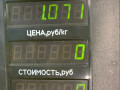 петля капота Volkswagen Golf 5 поколение 2008, 1.4 л., BUD, бензин, 5МКПП, синий, хетчбэк 5 дв., передний привод - фото №3