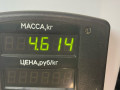 стойка задняя Nissan Maxima A32 1997, 2.0 л., бензин, МКПП, серый, седан - фото №3