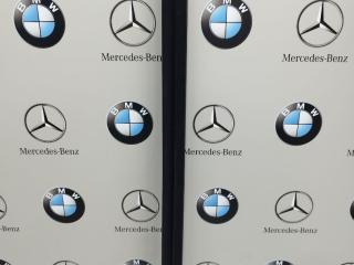 молдинг двери передней правой BMW X4 G02 [рестайлинг] 2023, 7393417