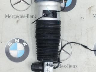пневмостойка передняя BMW X5 G05 [рестайлинг] 2024, бензин, 9173294, 7831561