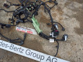 проводка двигателя Mercedes-Benz E-Класс W214 2025, 2.0 л., дизель, A6541507806, A6541500607 - фото №2
