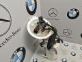 насос топливный BMW X3 F25 2014, 2.8 л., N20 B20 A, бензин - фото №3