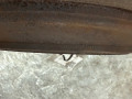 диск тормозной задний Volvo S60 2 поколение 2012, 1.6 л., B 4164 T, бензин, АКПП, 426, седан, передний привод, 31471028 - фото №9