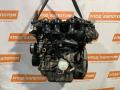 двигатель Ford Focus 3 поколение (2011 - 2015), 1.6 л., PNDA, бензин, АКПП - фото №6