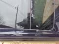 крыша BMW X5 E70 2009, 4.8 л., N62 B48 B, бензин, АКПП, 416, внедорожник 5 дв., полный привод, 41317174369 - фото №5