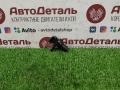 датчик распредвала Nissan X-Trail T32 2016, 2.0 л., MR20DD, бензин, 237311KC1A - фото №2