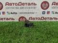 форсунка Nissan Teana J31 2006, 3.5 л., VQ35DE, бензин, 0280158042 - фото №2