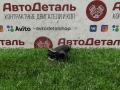 форсунка Infiniti FX35 1 поколение 2005, 3.5 л., VQ35DE, бензин, FBJC100 - фото №2