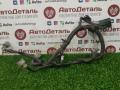 проводка двигателя Infiniti FX35 1 поколение 2006, 3.5 л., VQ35DE, бензин, 24079CD000 - фото №2
