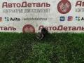 форсунка Lifan Solano 1 поколение 2010, 1.6 л., LF481Q3, бензин, 25344840 - фото №2
