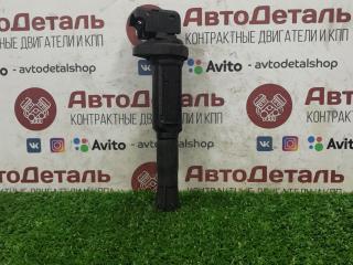 катушка зажигания BMW X5 E53 2002, 4.4 л., N62 B44, бензин, 0221504100