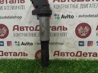 катушка зажигания BMW X5 E53 2002, 4.4 л., N62 B44, бензин, 0221504100