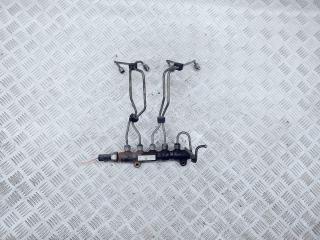 топливная рампа Citroen Xsara Picasso 1 поколение [рестайлинг] 2008, 1.6 л., HDi, 9HX (DV6ATED4), дизель, 5МКПП, серый, минивэн, передний привод, правый руль, 9654592680, 9658227880