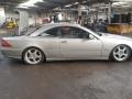 брызговик Mercedes-Benz CL-Класс C215 2002, 5.0 л., i, M 113.960, бензин, АКПП, brillantsilber / 744, купе, задний привод, правый руль - фото №5