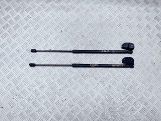 амортизатор крышки багажника (3-5 двери) Opel Astra J 2010, 1.6 л., i, A 16 XER, бензин, 5МКПП, karbongrau / gal, хетчбэк 5 дв., передний привод, правый руль, 13258179