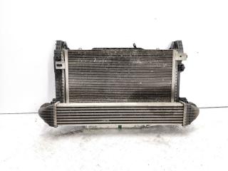 кассета радиаторов Mercedes-Benz A-Класс W169 2008, 2.0 л., CDi, OM 640.942, дизель, вариатор, dunenbeige / 791, хетчбэк 5 дв., передний привод, правый руль, A1695001803, A1695002693, 0130307007, 8ML376723-551