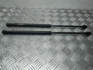 амортизатор крышки багажника (3-5 двери) Mini Cooper 1 поколение R50 2004, 1.6 л., i, W10 B16 A, бензин, 5МКПП, синий, хетчбэк 3 дв., передний привод, правый руль, 41626801258