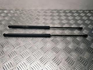 амортизатор крышки багажника (3-5 двери) Nissan Qashqai 1 поколение 2007, 1.6 л., i, HR16DE, бензин, 5МКПП, черный, внедорожник 5 дв., передний привод, правый руль, 90450JD01B