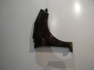 крыло переднее правое Ford Fiesta 6 поколение 2009, 1.6 л., TDCi, HHJC, дизель, 5МКПП, фиолетовый, хетчбэк 5 дв., передний привод, правый руль