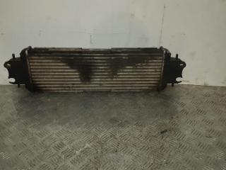 интеркулер Opel Vivaro A 2005, 1.9 л., CDTi, F9Q 760, дизель, 6МКПП, сasablancaweiss / 10u, микроавтобус, передний привод, правый руль, 7700312903D